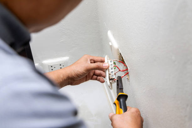 Best Local Electrician Companies  in Cattaraugus, NY